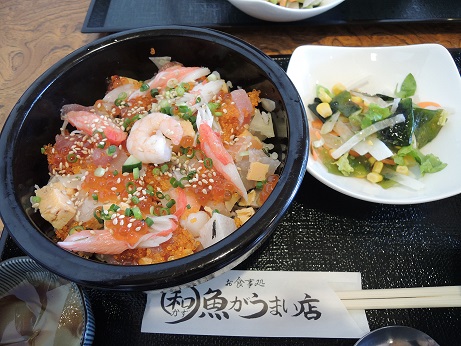 DSCN2867 - コピー